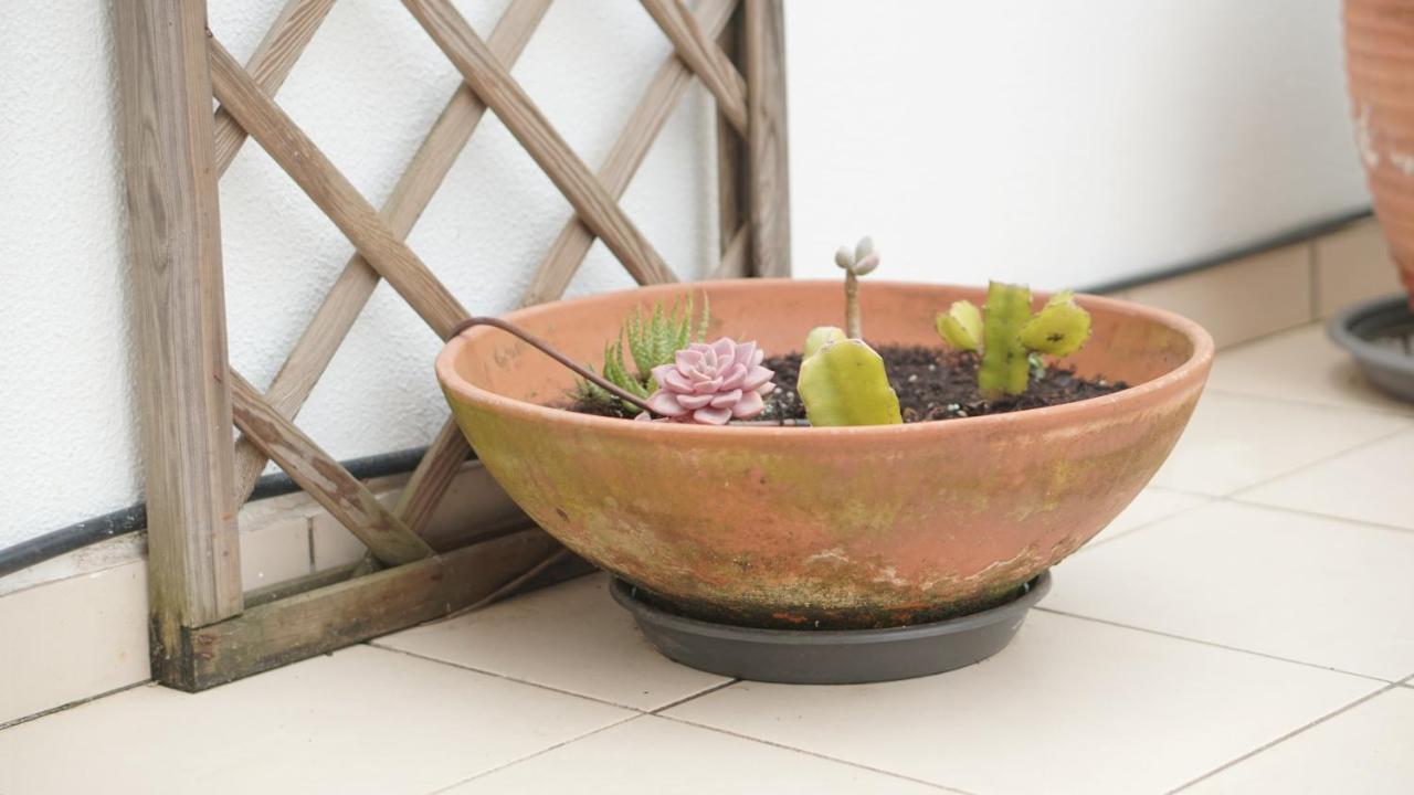 Terraço dos Rabujas Nazaré Exterior foto
